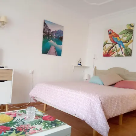 Апартаменты Luminoso Y Tranquilo Estudio Zona Botanico Пуэрто-де-ла-Крус