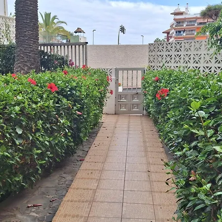 Luminoso Y Tranquilo Estudio Zona Botanico Апартаменты Пуэрто-де-ла-Крус