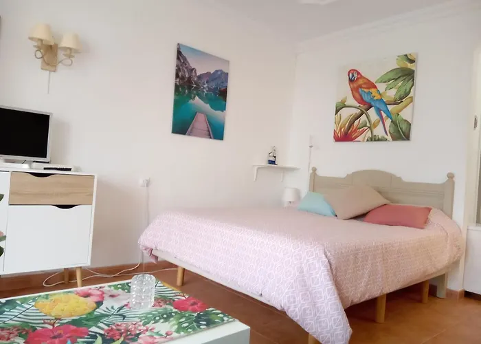 Lägenhet Luminoso Y Tranquilo Estudio Zona Botanico Puerto de la Cruz (Tenerife)