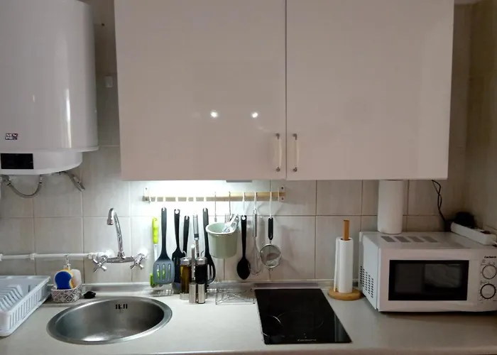 Luminoso Y Tranquilo Estudio Zona Botanico Lägenhet