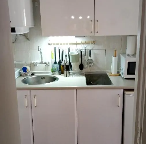 Luminoso Y Tranquilo Estudio Zona Botanico Lägenhet