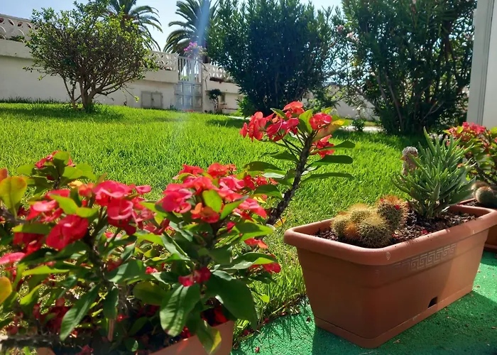 Lägenhet Luminoso Y Tranquilo Estudio Zona Botanico