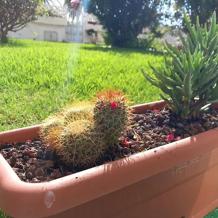 Luminoso Y Tranquilo Estudio Zona Botánico *