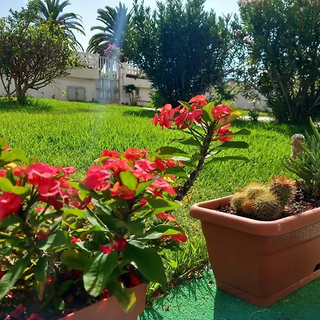 Apartamento Luminoso Y Tranquilo Estudio Zona Botánico